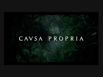 CAUSA PROPRIA Logo Design branding cinema design logo logotype design minimal symbol vector