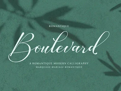 Boulevard Romantic Font beautiful font boulevard branding calligraphy design elegant handwritten illustration invitation logo romantic font script typography wedding font