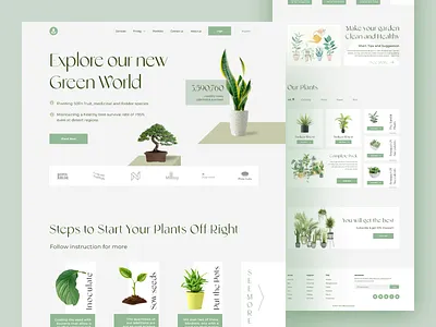 Plant landing page UI design! cactus clean design green landing page green ui design landing page landing page design plan ui design plant plant landing page plant landing page ui plant shop planting website tree website ui design ui landing page user interface ux