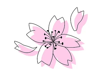 Flowers - Sakura design graphic design graphicdesign illustration raster vector