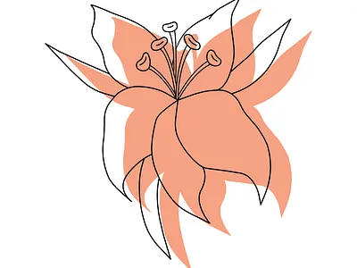 Flowers - Lily design graphic design graphicdesign illustration raster vector