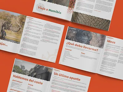 Travel data sheet - Carla Feuerriegel africa design ebook graphic design illustration infoproduct layout sheet travel ui