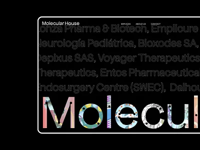 Molcular House branding design logo visual identity web web design web development