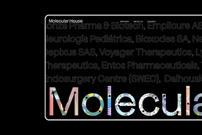 Molcular House branding design logo visual identity web web design web development