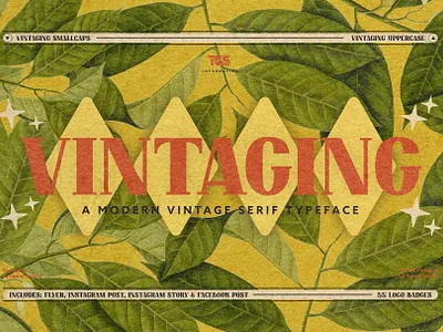 Vintaging Typeface - A Modern Vintage Serif Display Typeface 50s 70s badge branding dannyaldana design flyer font illustration instagram logo midcentury poster retro serif serif typeface typeface vintage vintaging