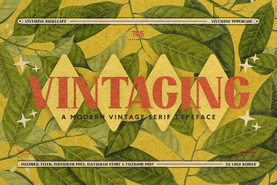 Vintaging Typeface - A Modern Vintage Serif Display Typeface 50s 70s badge branding dannyaldana design flyer font illustration instagram logo midcentury poster retro serif serif typeface typeface vintage vintaging