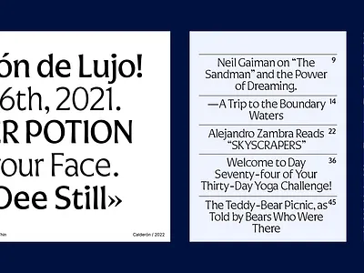 Chroma Sans book brand branding creative design editorial editorial design graphic design illustration issue landing lettering logo magazine newsletter newspaper type typography ui vector