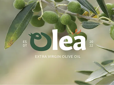 Olea Olive Oil - Branding branding design graphic design logo typography