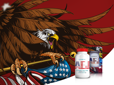 Ilustração para Embalagem aguia desenho eagle embalagem illustration illutrator vector art vetor