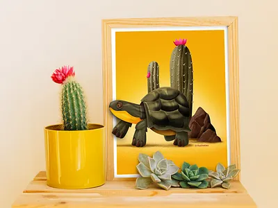 Entre Cactos illustration infantil livro tartaruga