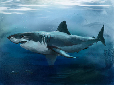 Shark! digital painting illustration shark