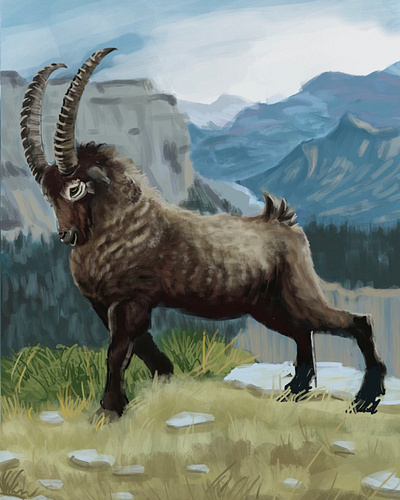 Ibex animal digital painting goat ibex illustration mountain