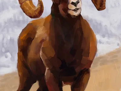Ram animal digital painting illustration ram
