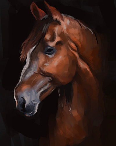 Horse animal black background digital painting dramatic horse illustration profile