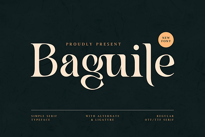 Baguile - Simple Serif Typeface branding display modern serif simple
