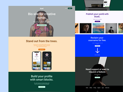 BlueE app branding design landingpage product design productdesign ui ux