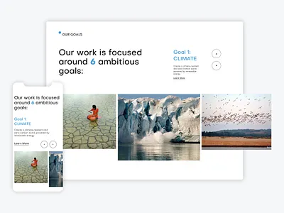 World Wildlife Fund - Corporate UI/UX Website Design Concept adventure animals business corporate design imaginary minimalistic nature ui ux webdesign website