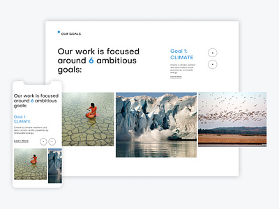 World Wildlife Fund - Corporate UI/UX Website Design Concept adventure animals business corporate design imaginary minimalistic nature ui ux webdesign website