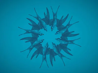 Abstract Nature Swallow design graphic design illustration typography vector