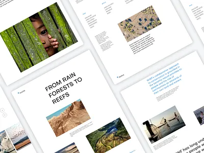 World Wildlife Fund - Corporate UI/UX Website Design Concept adventure animal business corporate eco minimalistic nature planet ui ux webdesign website wild world