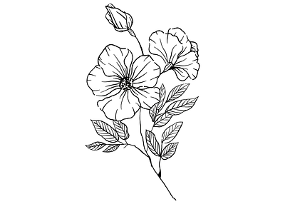 Hand Drawn Icon brand design brand identity branding canva design esoteric floral flower design graphic design icon icon design illustration logo minimalism procreate spirituality vector