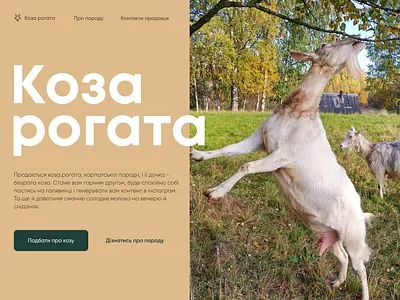 Day 003 | Daily UI challenge - Landing Page beige clean cozy design focus goat landing light main page sale site ui web