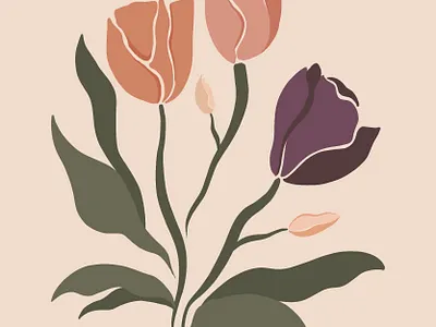 Softness design draw illustration procreate