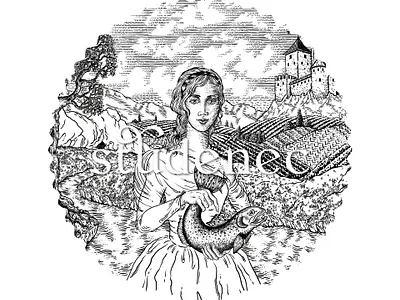 Studenec branding logo ullustration