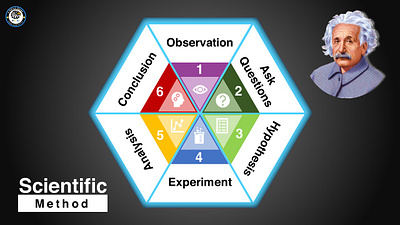 Scientific Method - 6 steps infographic data visualization design graphic design graphicdesign illustration infographic design