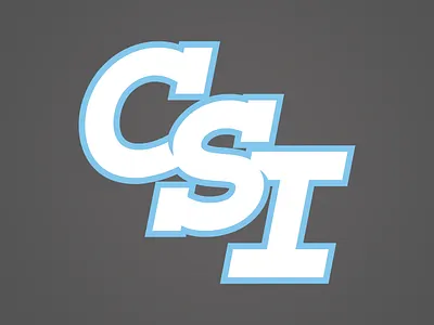 College of Staten Island Dolphins Alternate Logo branding college sports dolphins illustration logo sports logo state island