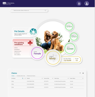 Safeco - Pet Insurance (Web App)