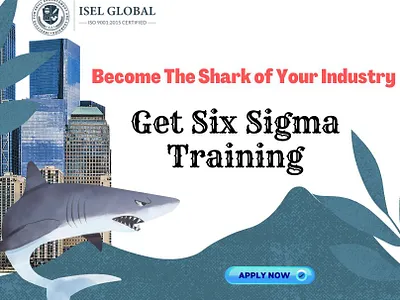 Become the shark of your Industry, Get six sigma training leansixsigmacertification sixsigmacertificationonline sixsigmagreenbelt