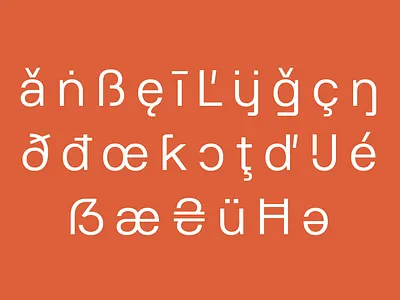 Rodley Font Family accessibility design font foundry graphic design modernist sans serif type design typeface typography