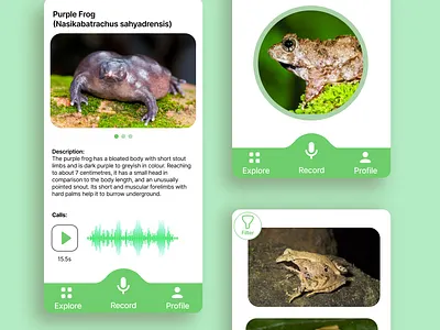 FrogFinder - Mobile App app conservation frog mobile app ui ux