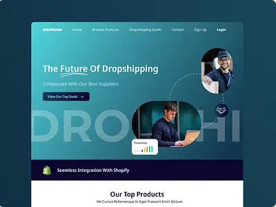 Dropshipping website design design ui ux website