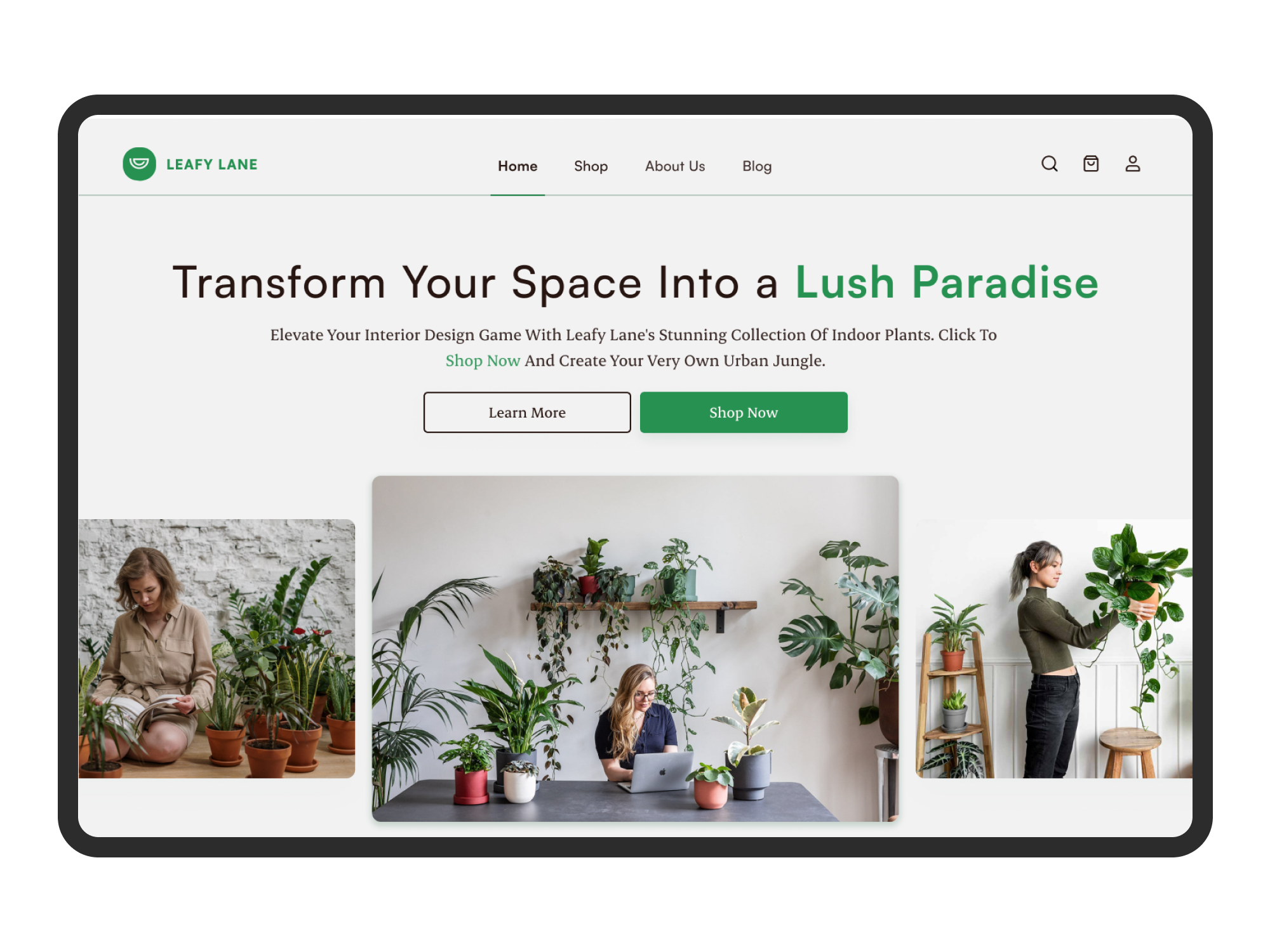 Leafy Lane E-Commerce Web Platform UI/UX Design V01 animation app branding design e commerce ecommerce figma landingpage navigation productdesign shop shopapp smartanimate ui uidesign uiux ux uxdesign webdesign webui