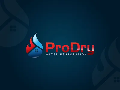 ProDry - Restoration Company Logo Design abstract logo branding combination mark logo creative design graphic design home logo illustration logo logodesign modern logo restoration company vector water drop logo