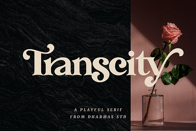 Transcity - A Playful Serif bold branding classic elegant fancy fashion fonts layout luxury magazine modern playful retro sans transcity a playful serif typeface web wedding