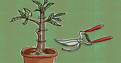 Article Illustration - Crossway article christian design garden illustration leaves plant pot pruners pruning sprout tree