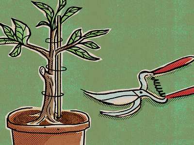 Article Illustration - Crossway article christian design garden illustration leaves plant pot pruners pruning sprout tree