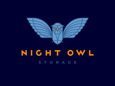 Night Owl Storage Logo brand brand logo branding design graphic design illustration logo logo design logo symbol owl illustration typography vector vector art vector logo