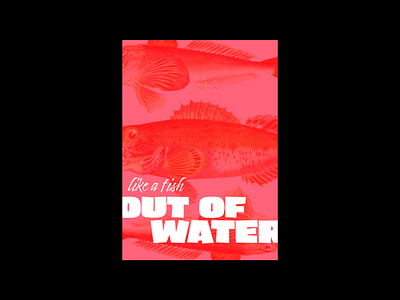 Poster concept concept design graphic graphic design ill illustration minimal poster