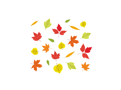 Maple Leaves illustraion pattern