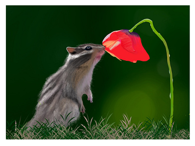 Digital painting art artist arts design digital art digital painting fantasy illustration line art painting procreate rose art squirrel art