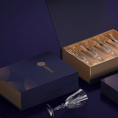 Odraz Brand Identity brand brandingdesign brobrand bromadeit design illustration logo logos madebybro ui