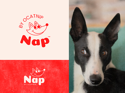 NAP 🐶 adobe illustrator branding dog dog logo fun logo illustration logo logo design pet pet products vector