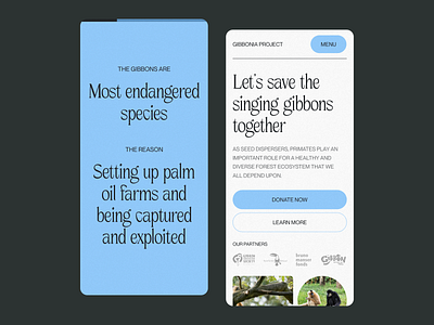 Gibbonia Project Responsive Design 2022 trends art direction charity clean conceptual creative design grid layout mobile responsive typo typography ui ui elements uidesign ux web web design website ui