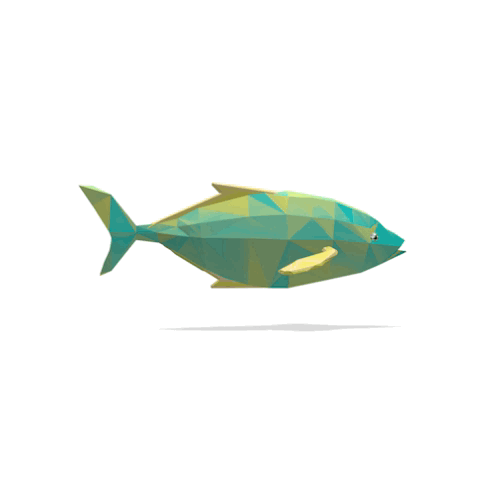 Fish low polly 3d animation characterdesign fish low polly
