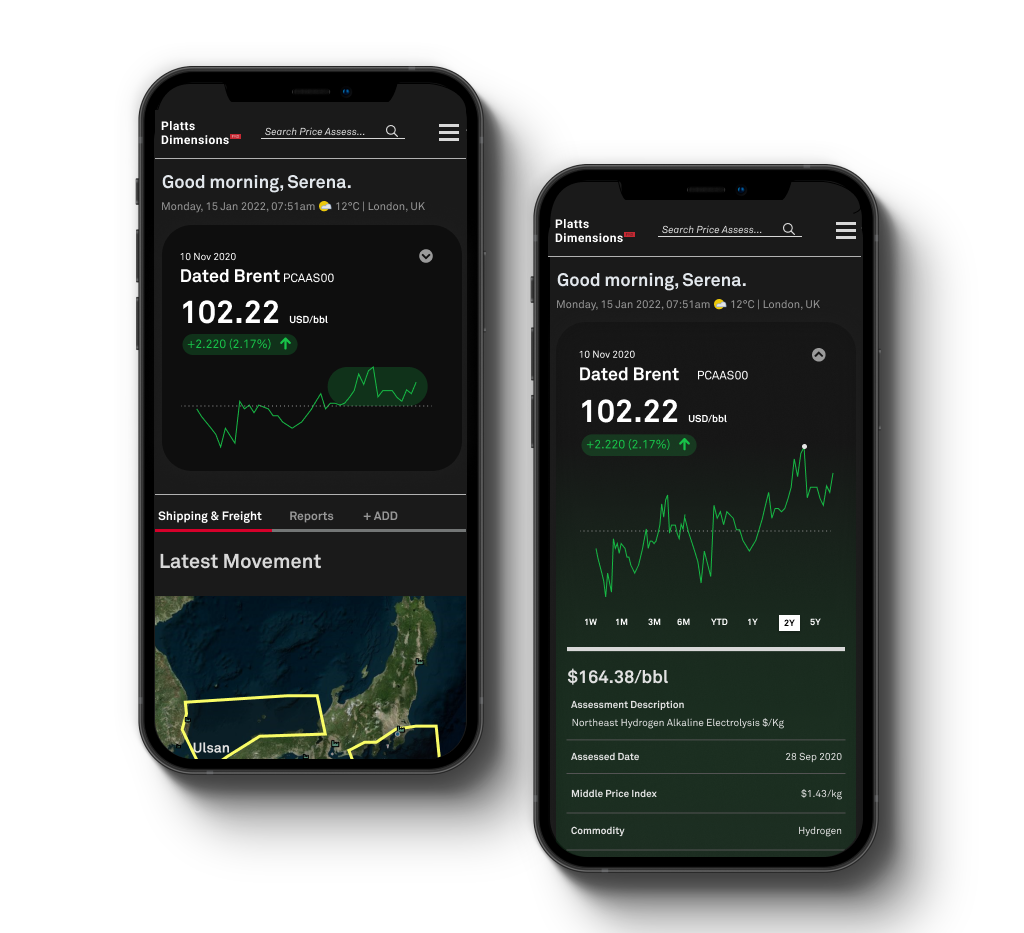 Example of Mobile Financial Dashboard Design