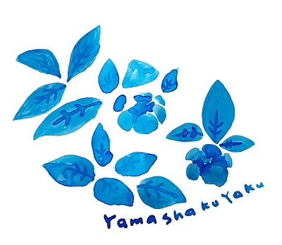 yamasyakuyaku_japanese flower design graphic design illustration textile wallpaper